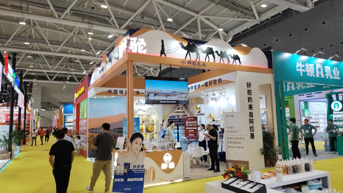 深圳展會搭建公司推薦及設(shè)計(jì)策略(圖1)